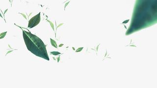 漂浮植物模糊茶叶免抠