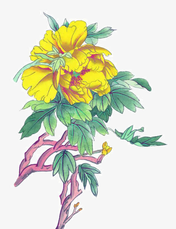 写意黄色牡丹免抠