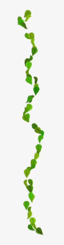 绿叶漂浮藤蔓春天装饰免抠装饰植物元素