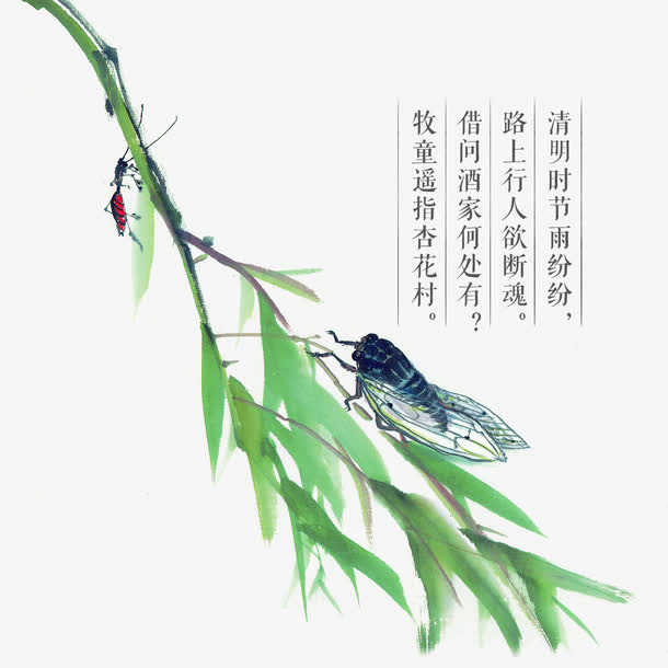 清明节水墨风柳树枝知了元素免抠