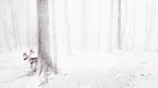 冬季洁白树林麋鹿海报背景