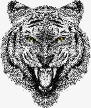 手绘风老虎头免抠