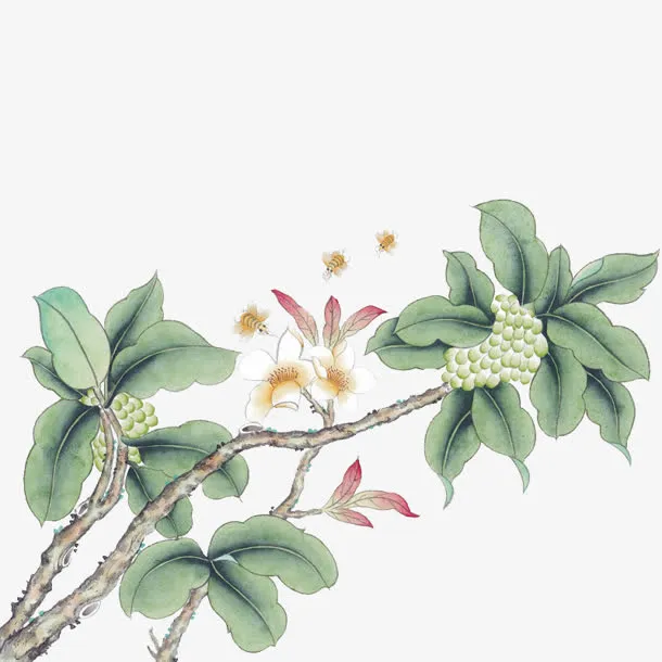 古风彩绘红果实白花绿叶免抠