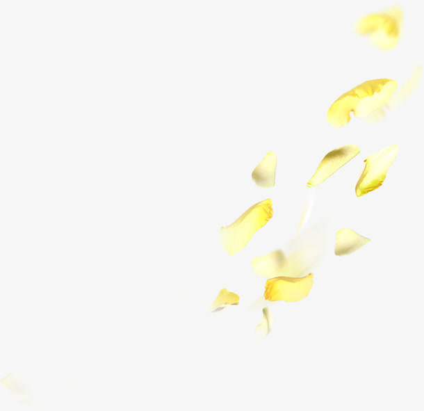 黄色梦幻漂浮花瓣唯美免抠