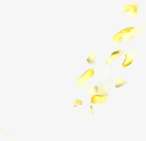 黄色梦幻漂浮花瓣唯美免抠