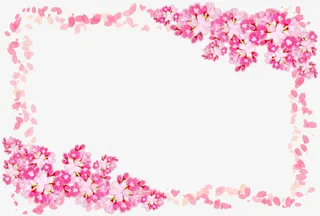 粉色美丽花朵框架免抠