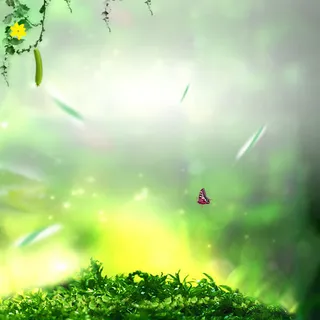 草地丛林蝴蝶免抠 草地丛林蝴蝶免抠