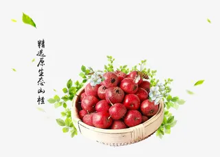 山楂素材免抠