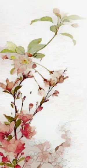 古风彩绘花朵免抠