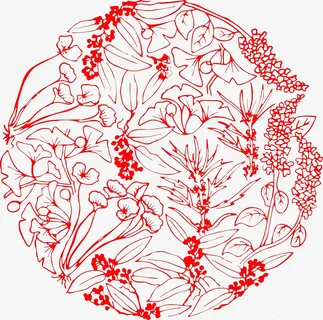 中药材 集合 底纹 背景 装饰免抠