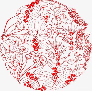 中药材 集合 底纹 背景 装饰免抠