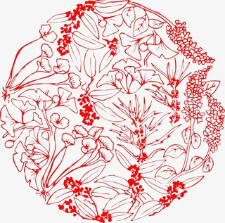 中药材 集合 底纹 背景 装饰免抠