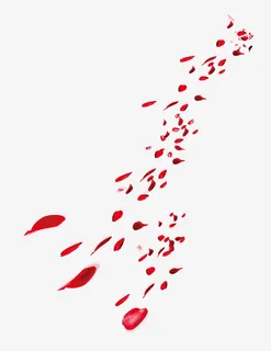 飞舞的花瓣免抠