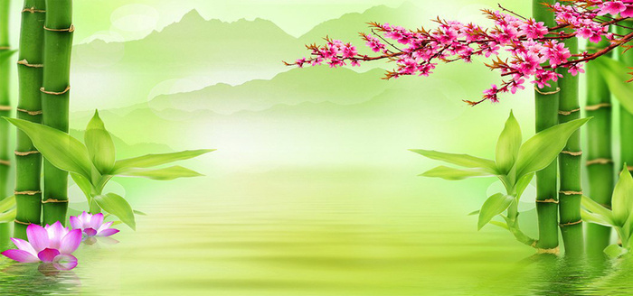 绿色背景图高清