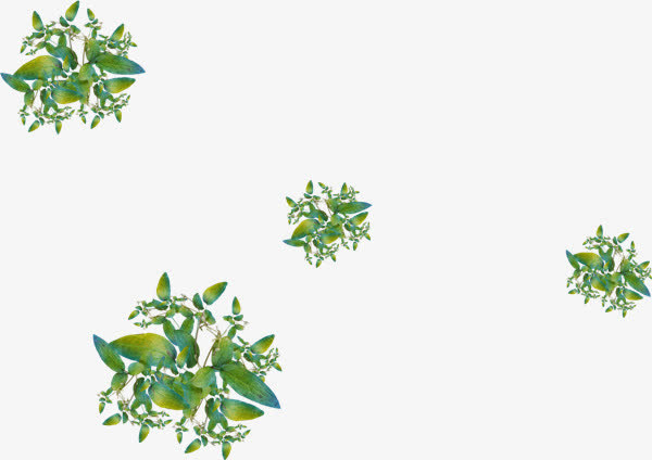 4簇花朵png素材免抠