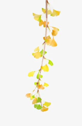水彩黄色树枝叶子免抠