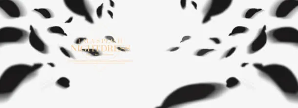 黑色水墨花瓣漂浮装饰免抠