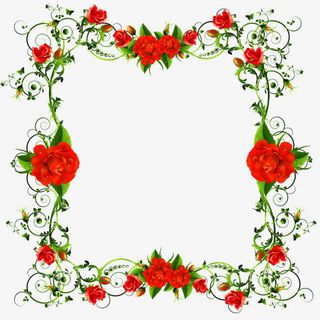 红色花朵边框免抠