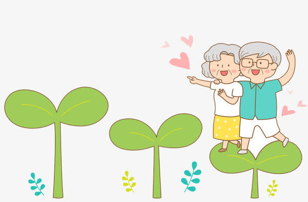 老年伴侣免抠