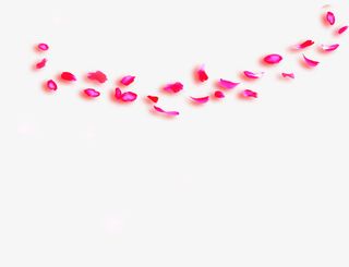 浪漫粉色花瓣背景图片下载