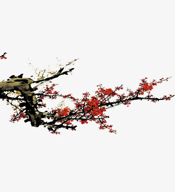 梅花图片素材免抠
