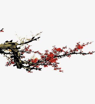 梅花图片素材免抠
