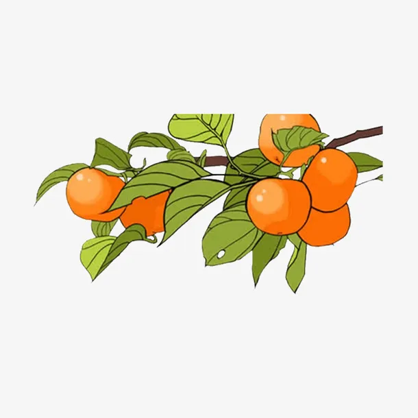 手绘卡通柿子免抠