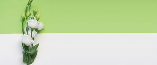 鲜花简约绿色banner高清