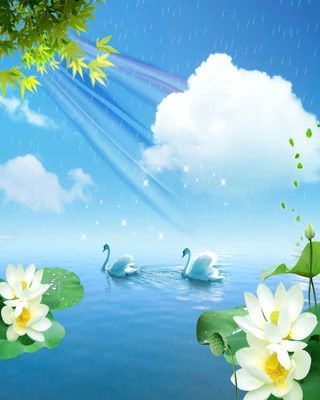 湖泊天鹅莲花背景