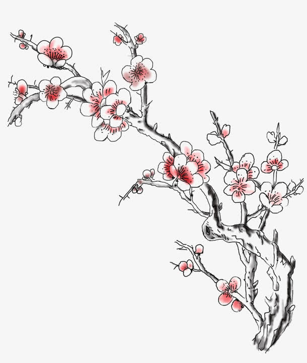一枝梅花免抠