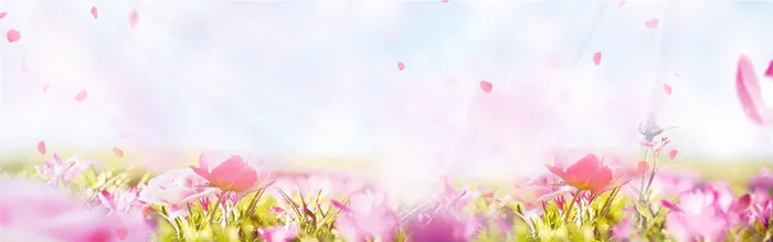 化妆品唯美背景免费下载高清