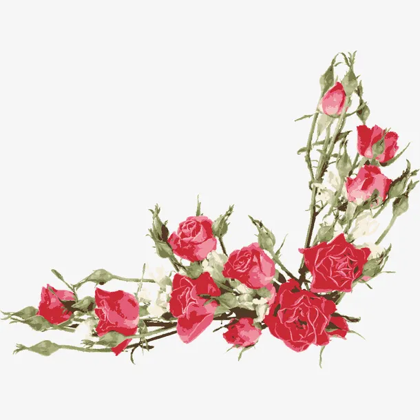 水彩玫瑰花免抠