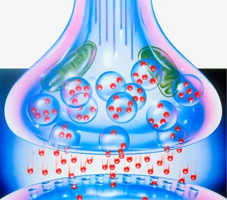 纳米骨膜修复免抠