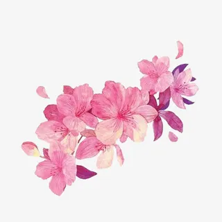 粉色花朵绘画免抠素材免抠