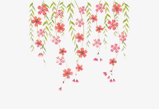 手绘彩色柳条素材免抠