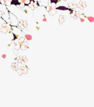 简笔梅花元素免抠