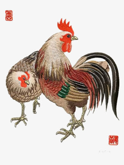 手绘鸡免抠