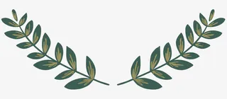 森林系卡通 树叶免抠