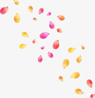落花漂浮物免抠