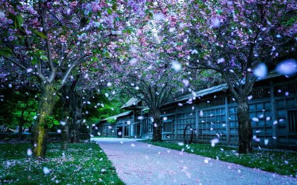 蓝色梦幻花瓣房屋免抠