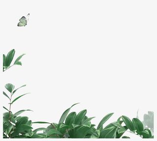 绿色草 春天背景素材免抠装饰植物元素