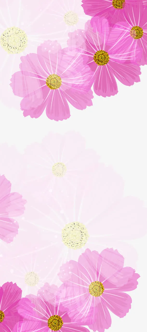 紫色小菊花背景