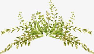 文艺清新花草海报设计装饰免抠