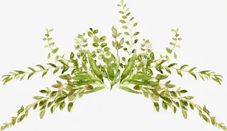 文艺清新花草海报设计装饰免抠