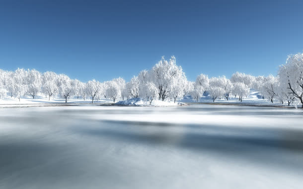 创意高清摄影合成效果雪地大树免抠