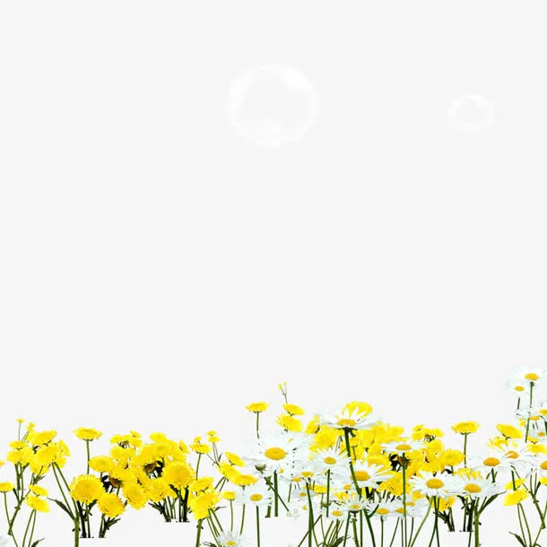 花卉免抠