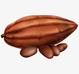 棕色松子碧根果食物免抠