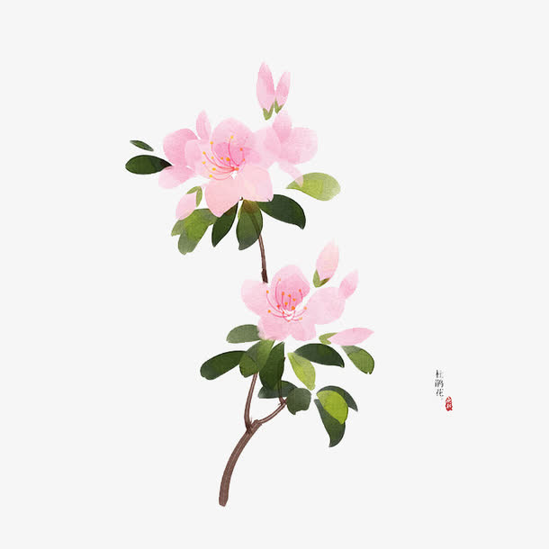 桃花免抠