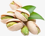 开心果叶生植物高清免抠