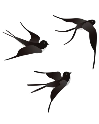 矢量手绘春天燕子高清